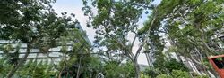 Tampines Grande (D18), Retail #599291061